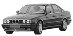 BMW E34 P253E Fault Code