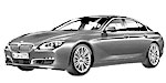 BMW F06 P253E Fault Code